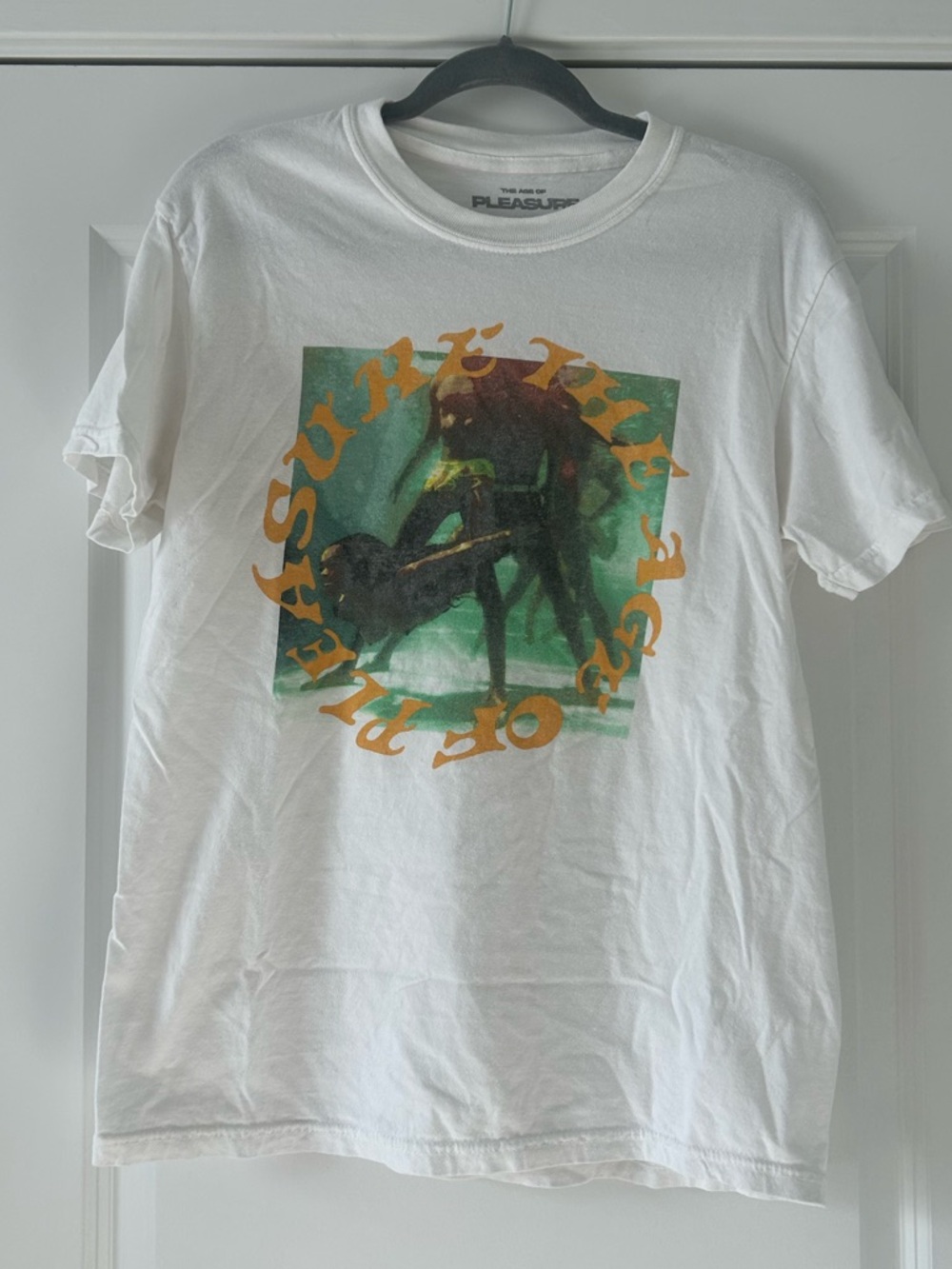 Janelle Monae the Age of Pleasure T-shirt official merch, unisex size medium